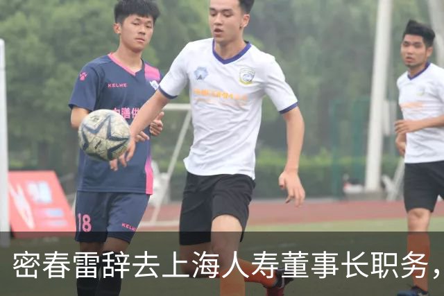 密春雷辞去上海人寿董事长职务，董卿伴其同行