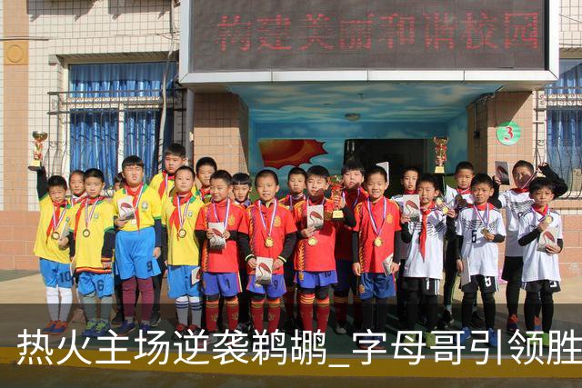 热火主场逆袭鹈鹕 字母哥引领胜利之路